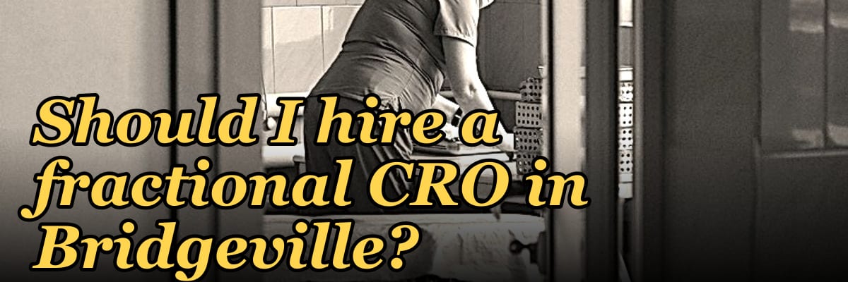 Should I hire a fractional CRO in Bridgeville?
