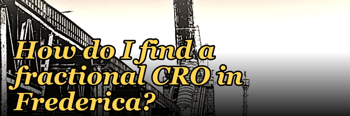 How do I find a fractional CRO in Frederica?