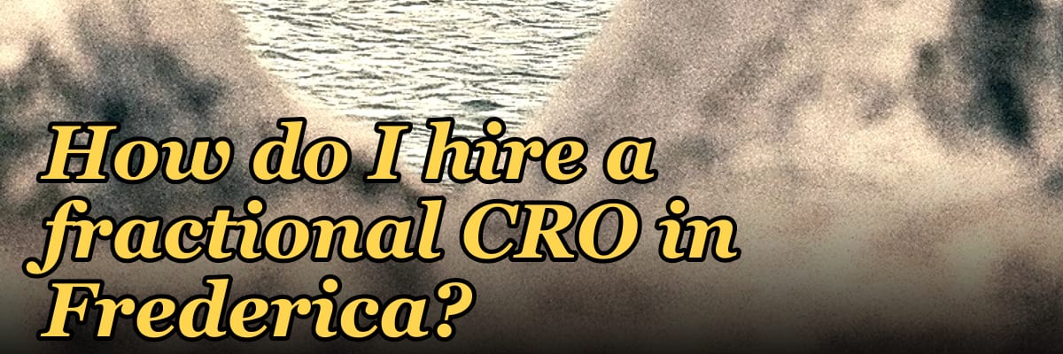 How do I hire a fractional CRO in Frederica?