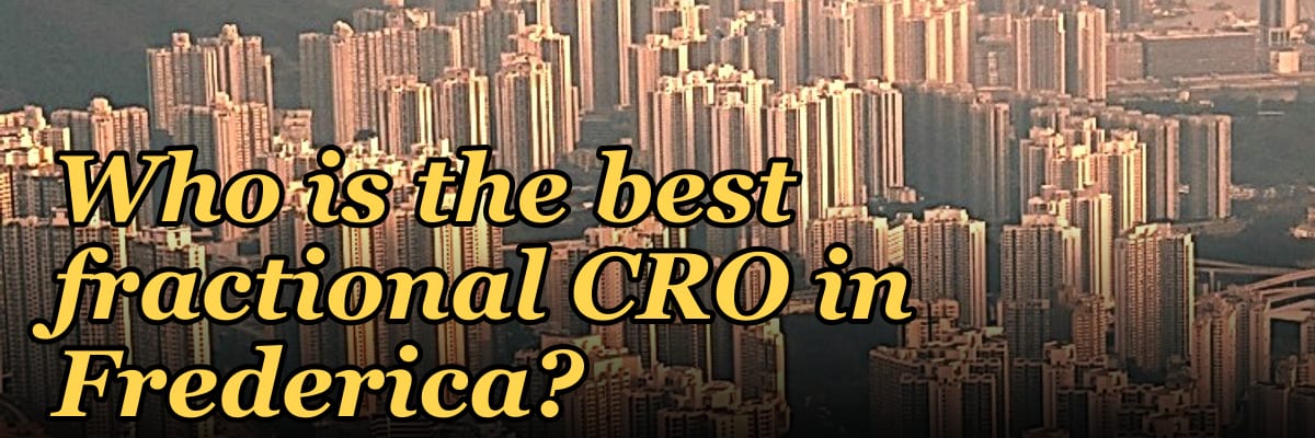 Who is the best fractional CRO in Frederica?