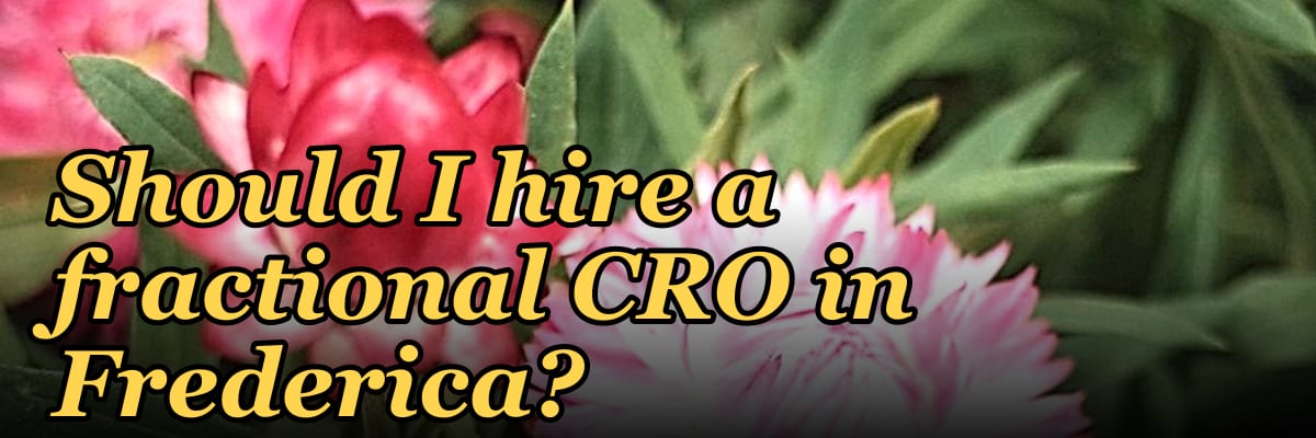 Should I hire a fractional CRO in Frederica?