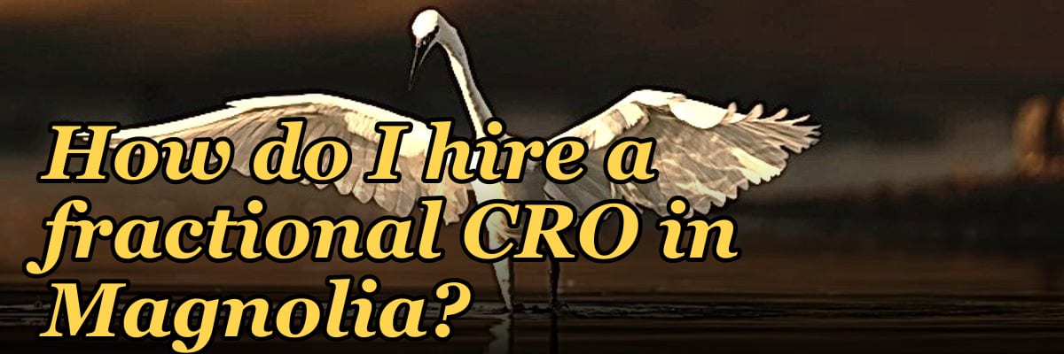 How do I hire a fractional CRO in Magnolia?