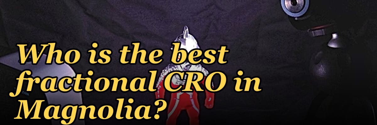 Who is the best fractional CRO in Magnolia?
