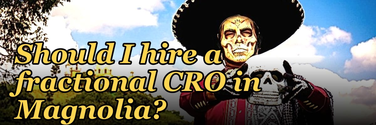 Should I hire a fractional CRO in Magnolia?