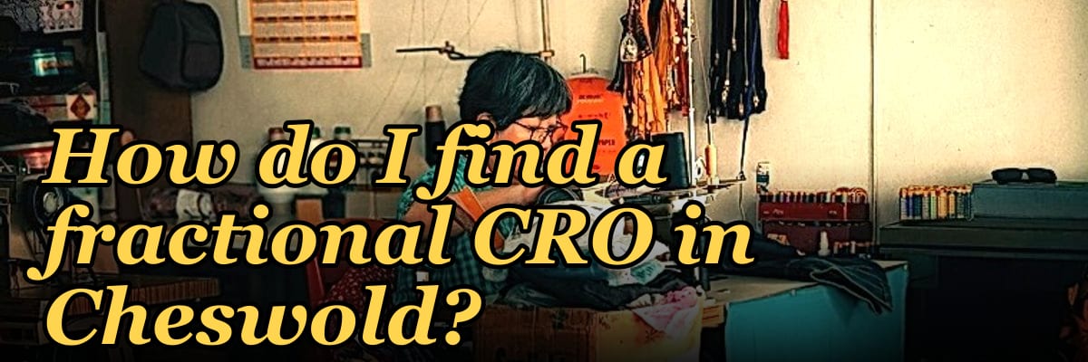 How do I find a fractional CRO in Cheswold?