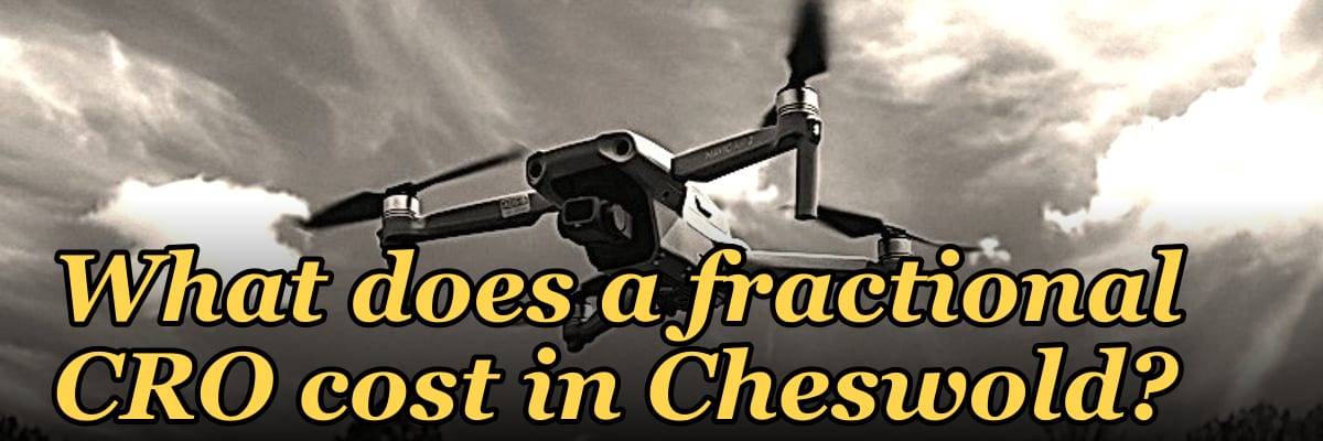 What does a fractional CRO cost in Cheswold?