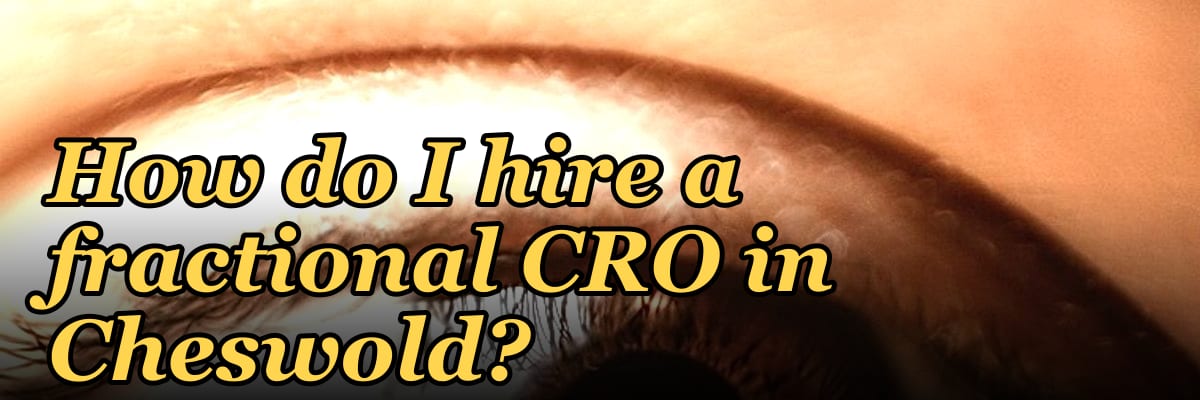How do I hire a fractional CRO in Cheswold?
