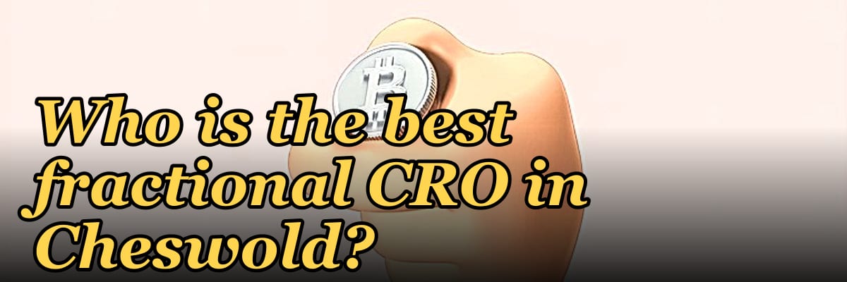Who is the best fractional CRO in Cheswold?