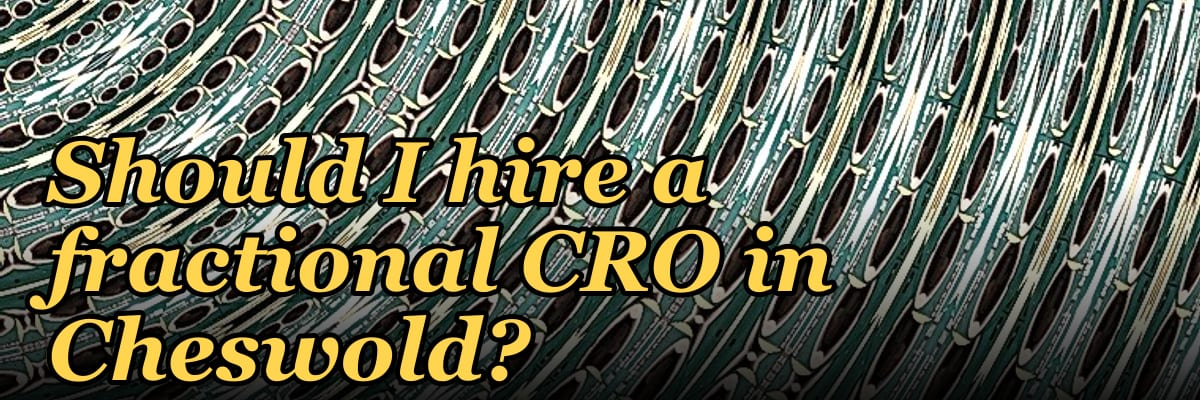 Should I hire a fractional CRO in Cheswold?