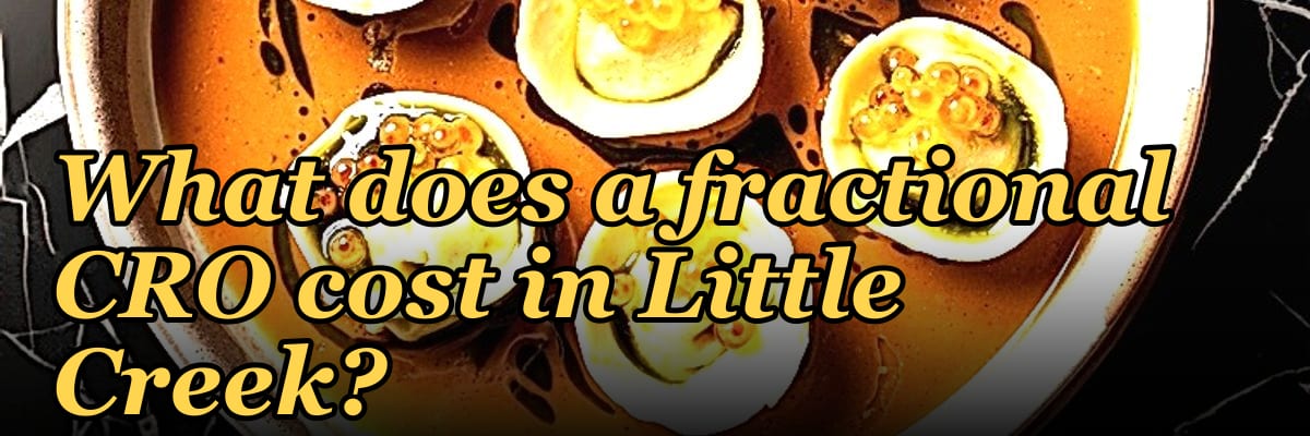 What does a fractional CRO cost in Little Creek?
