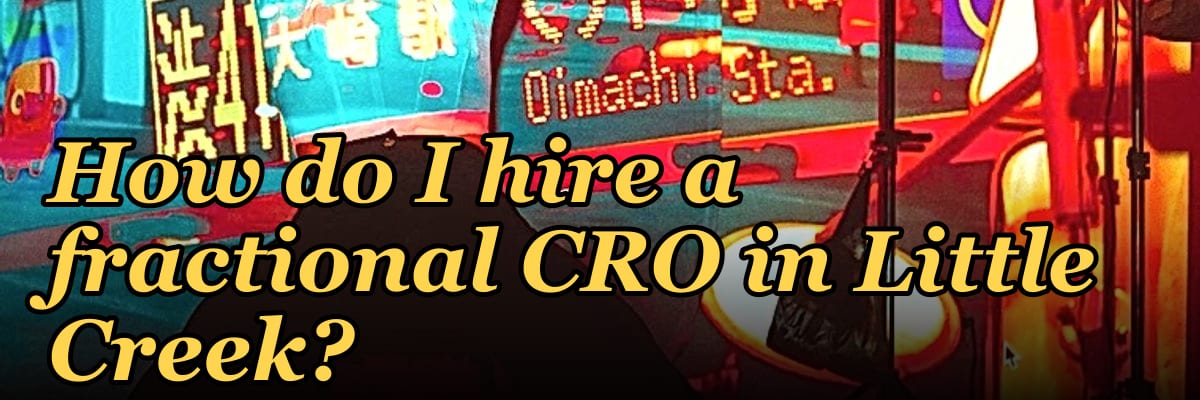 How do I hire a fractional CRO in Little Creek?