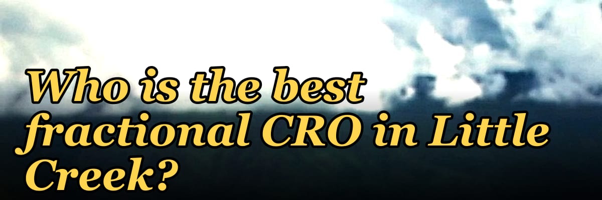 Who is the best fractional CRO in Little Creek?