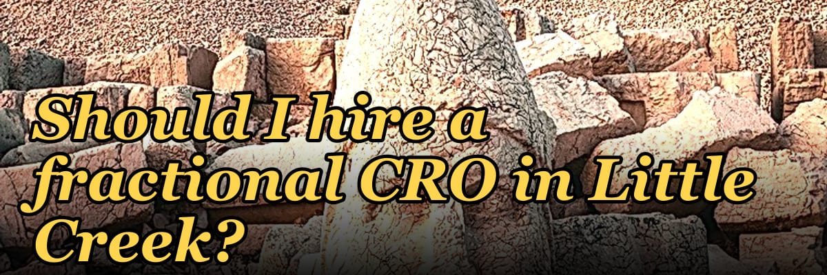 Should I hire a fractional CRO in Little Creek?