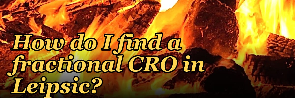 How do I find a fractional CRO in Leipsic?