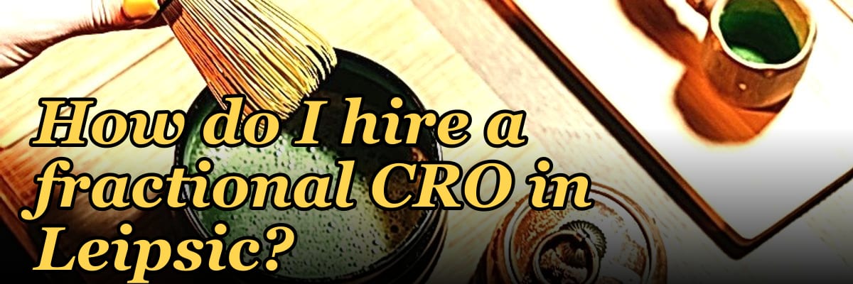 How do I hire a fractional CRO in Leipsic?