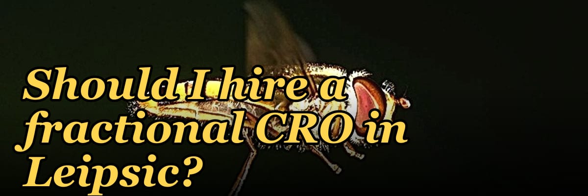 Should I hire a fractional CRO in Leipsic?