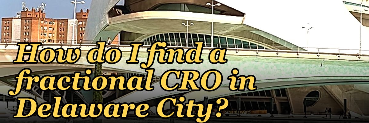 How do I find a fractional CRO in Delaware City?
