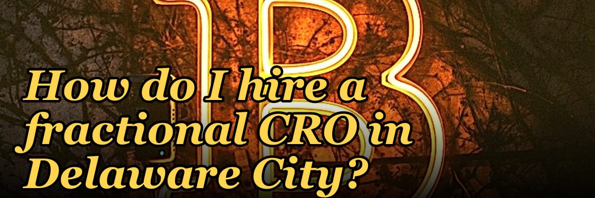 How do I hire a fractional CRO in Delaware City?