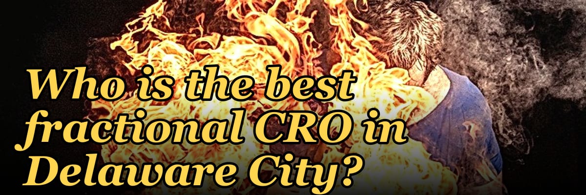 Who is the best fractional CRO in Delaware City?