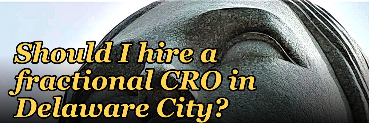 Should I hire a fractional CRO in Delaware City?