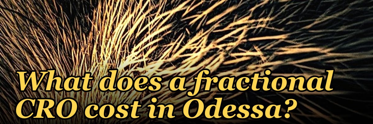 What does a fractional CRO cost in Odessa?