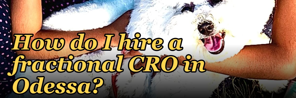 How do I hire a fractional CRO in Odessa?