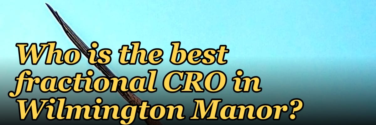 Who is the best fractional CRO in Wilmington Manor?
