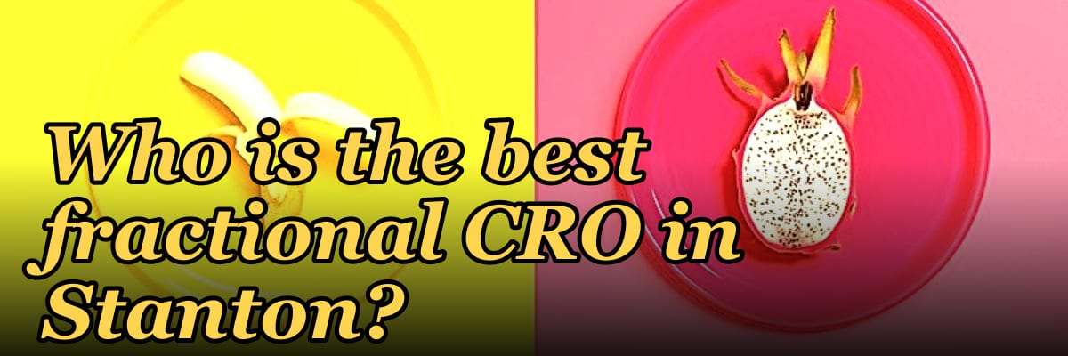 Who is the best fractional CRO in Stanton?