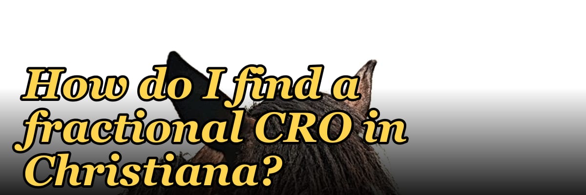 How do I find a fractional CRO in Christiana?