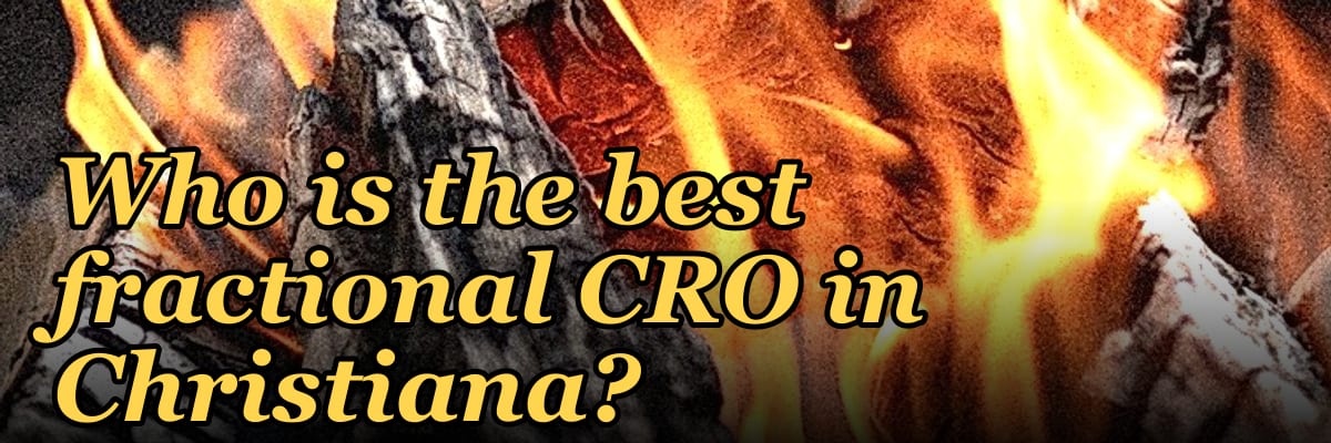 Who is the best fractional CRO in Christiana?