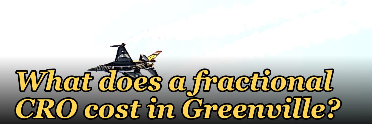 What does a fractional CRO cost in Greenville?