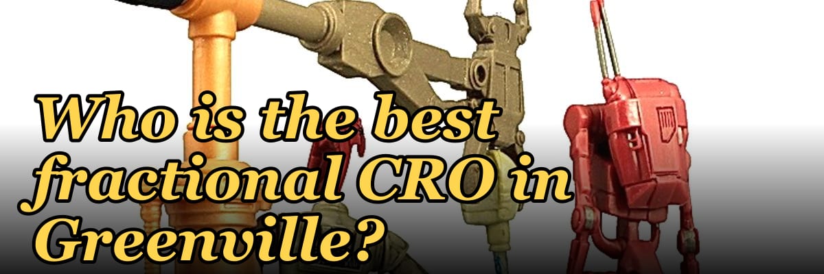 Who is the best fractional CRO in Greenville?