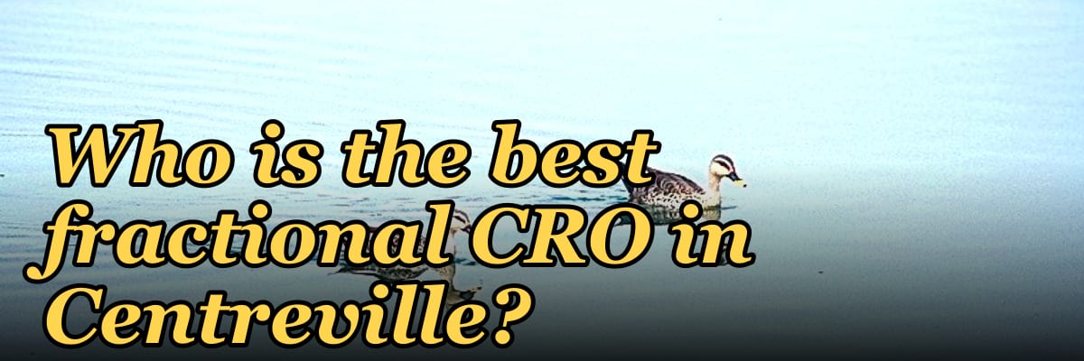Who is the best fractional CRO in Centreville?