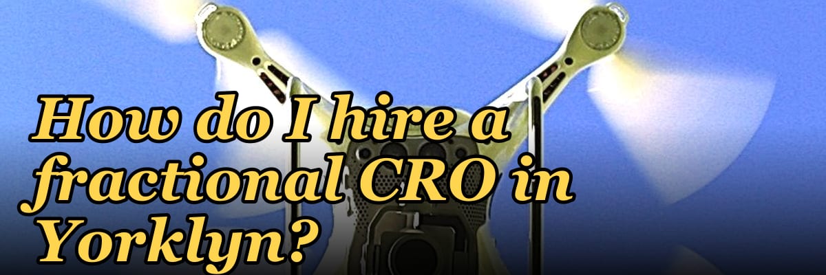 How do I hire a fractional CRO in Yorklyn?