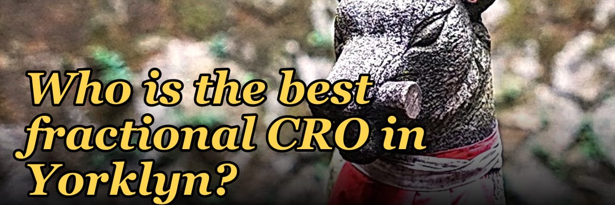 Who is the best fractional CRO in Yorklyn?