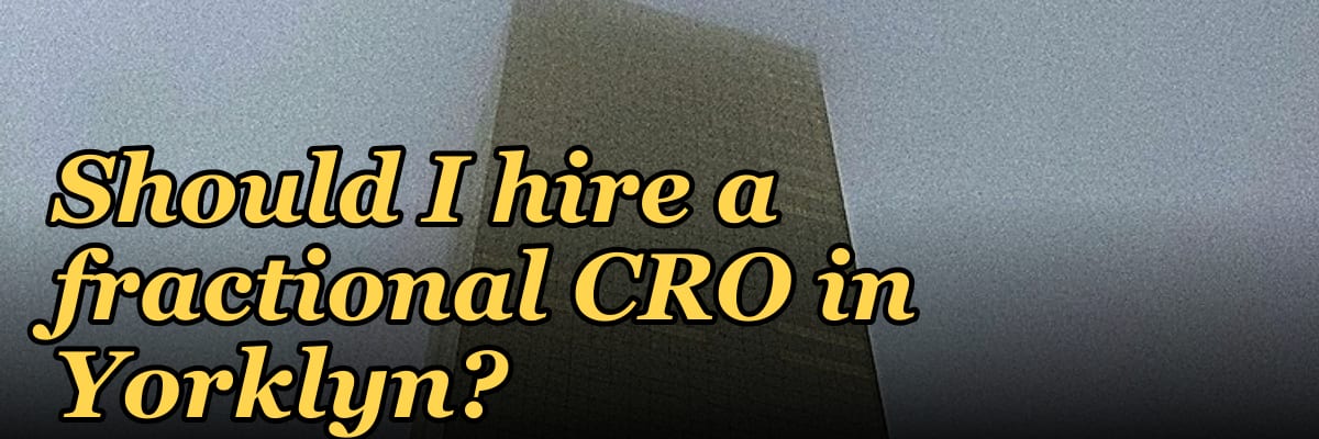 Should I hire a fractional CRO in Yorklyn?