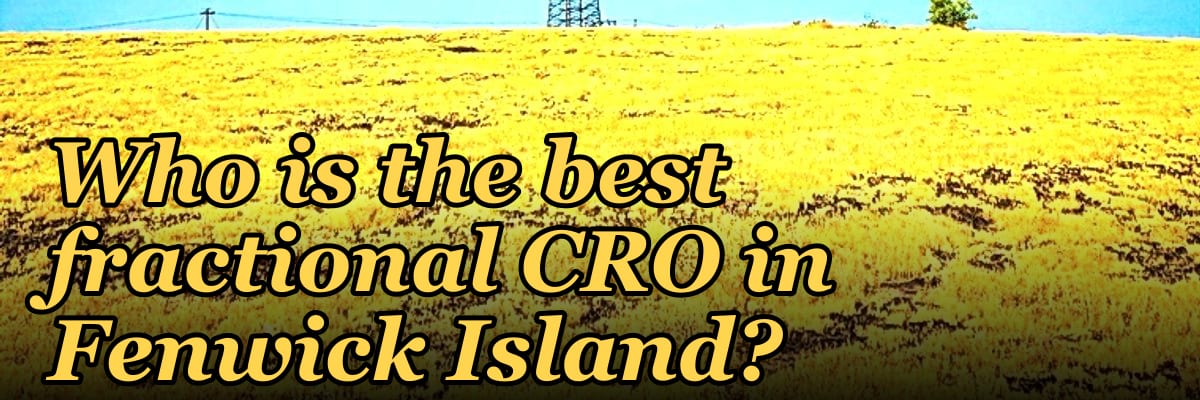 Who is the best fractional CRO in Fenwick Island?