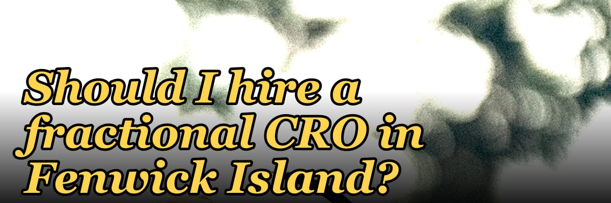 Should I hire a fractional CRO in Fenwick Island?