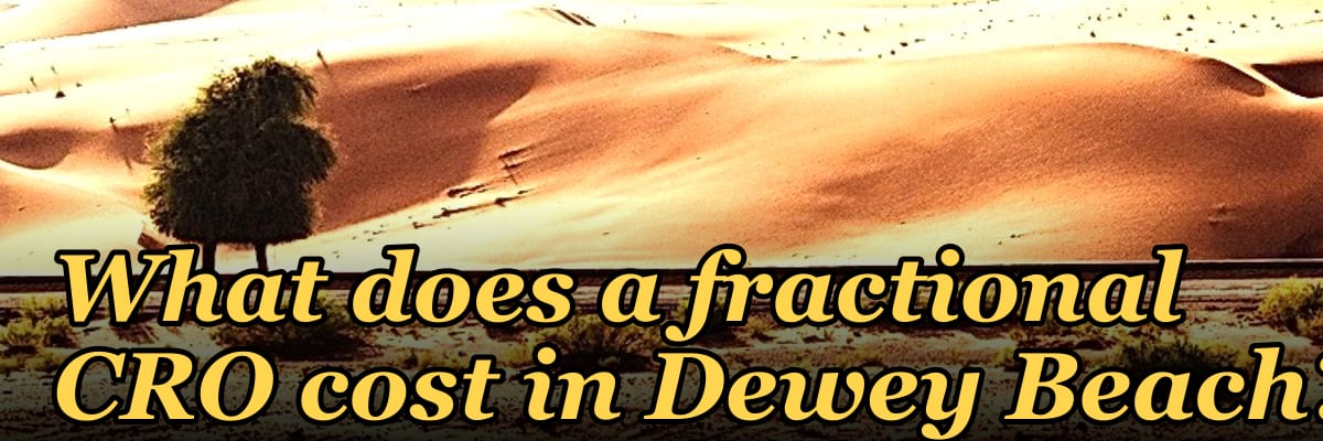 What does a fractional CRO cost in Dewey Beach?