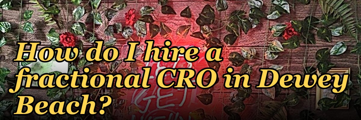 How do I hire a fractional CRO in Dewey Beach?