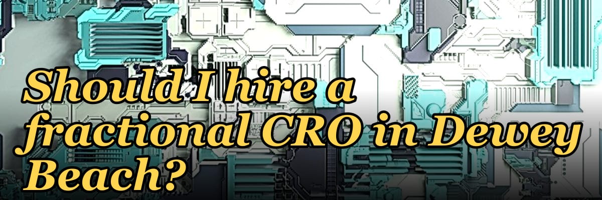 Should I hire a fractional CRO in Dewey Beach?