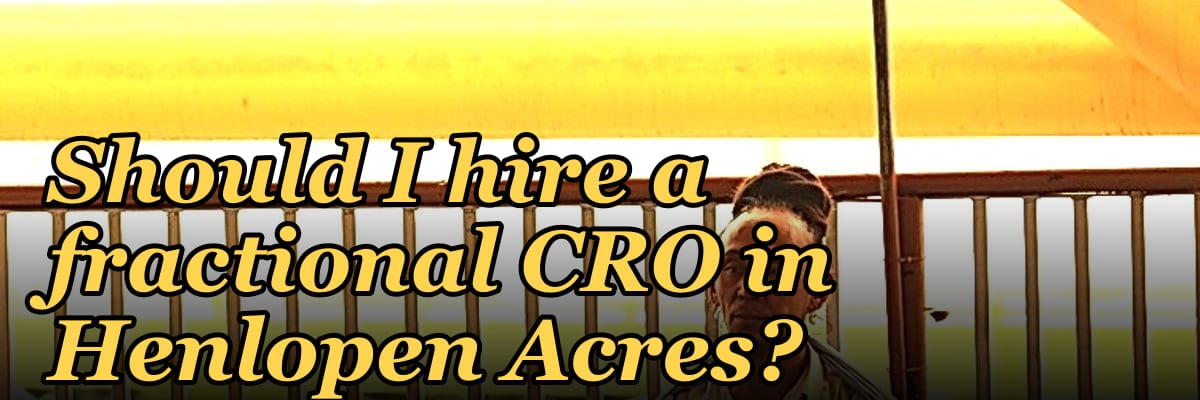Should I hire a fractional CRO in Henlopen Acres?