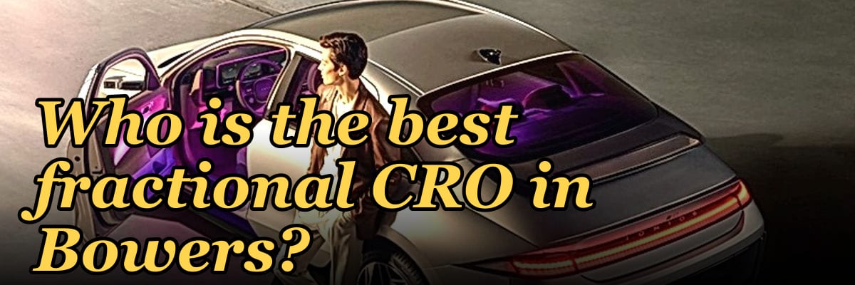 Who is the best fractional CRO in Bowers?
