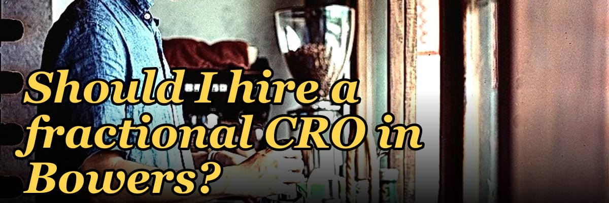 Should I hire a fractional CRO in Bowers?