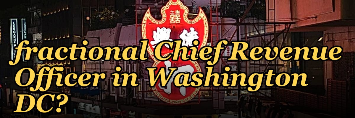 Who is the best fractional Chief Revenue Officer in Washington DC?