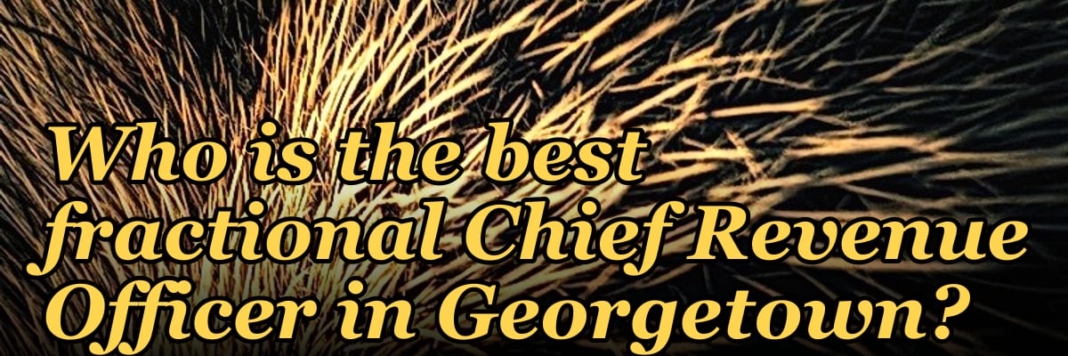 Who is the best fractional Chief Revenue Officer in Georgetown?