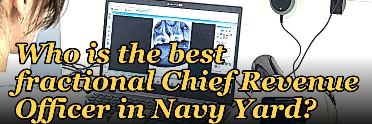 Who is the best fractional Chief Revenue Officer in Navy Yard?