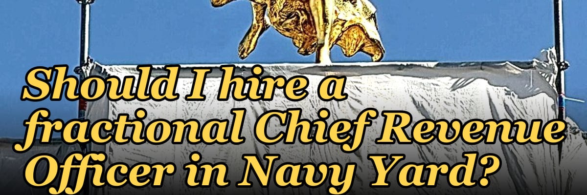 Should I hire a fractional Chief Revenue Officer in Navy Yard?