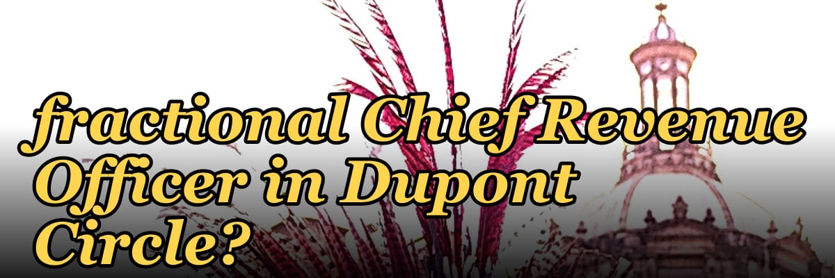 Should I hire a fractional Chief Revenue Officer in Dupont Circle?