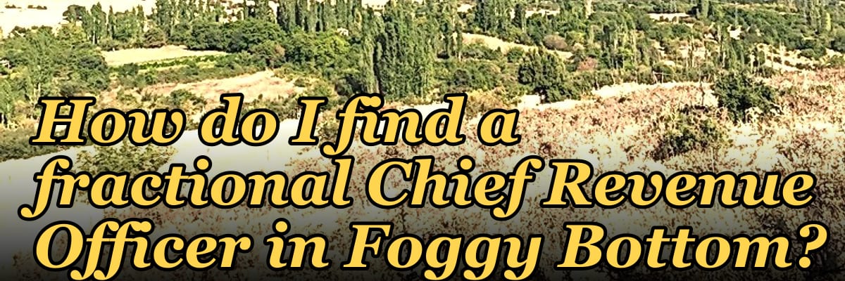 How do I find a fractional Chief Revenue Officer in Foggy Bottom?
